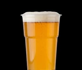 Radegast 10°